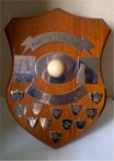 Farnham Masonic Shield